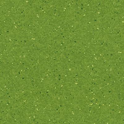 014 - Spring Meadow - LRV-22
