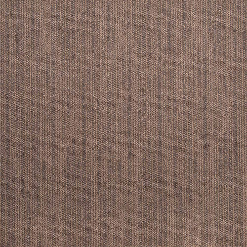 Amostra-1001