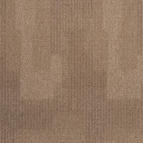Amostra-1157