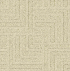 1677245008_MAZE_401_01