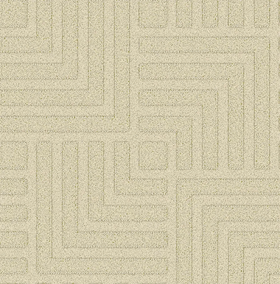 1677245008_MAZE_401_01