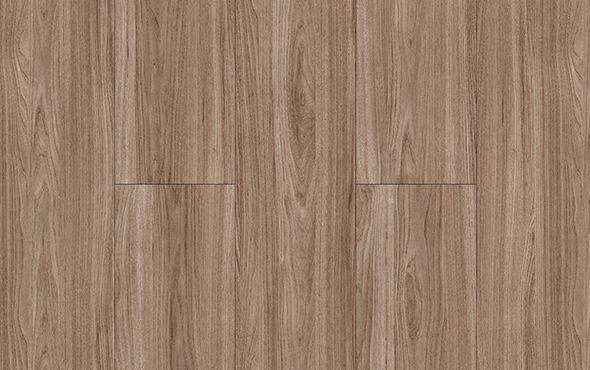 Slider_P_Harmony_Carvalho-Gante