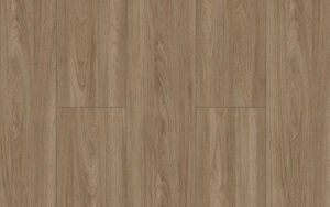 Slider_P_Link_Bariloche