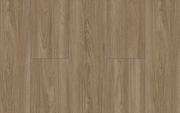 Slider_P_Link_Bariloche