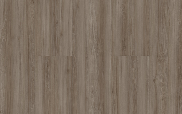 Slider_P_Link_San-Andres