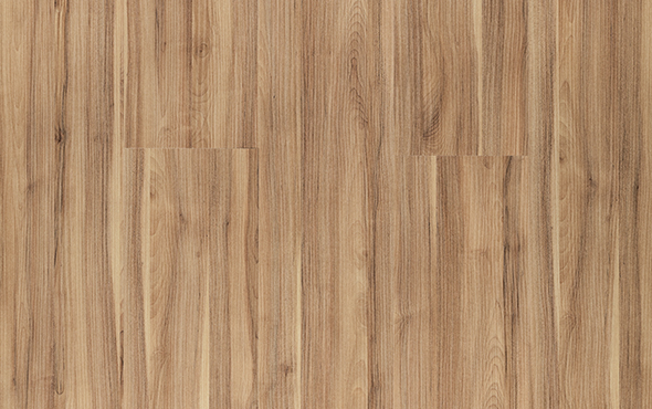 Slider_P_Link_Tauari-Ravena