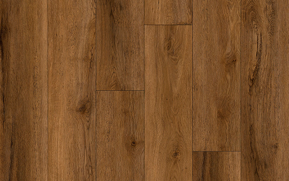 Slider_P_Nativa_Montenegro