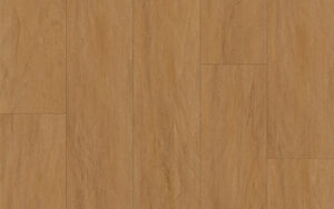 Slider_P_Nativa_Santarém