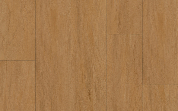 Slider_P_Nativa_Santarém