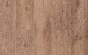 Slider_P_Space_Carvalho-Viena