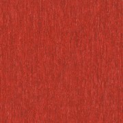 mantas-comerciais_iq-optima_15373873540818_180x180